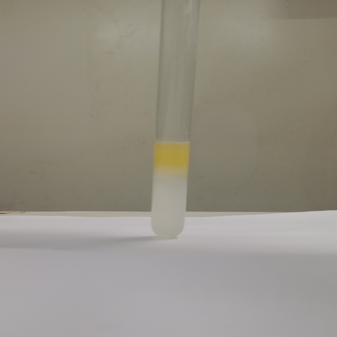 Flavonoids-testing-Cold-Pressed-Grapeseed-OIl