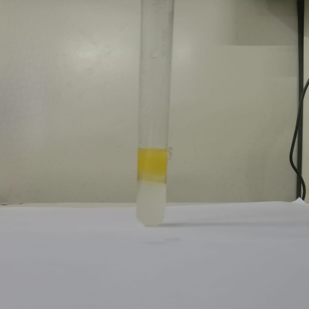 Flavonoids-testing-in-Flaxseed-Oil