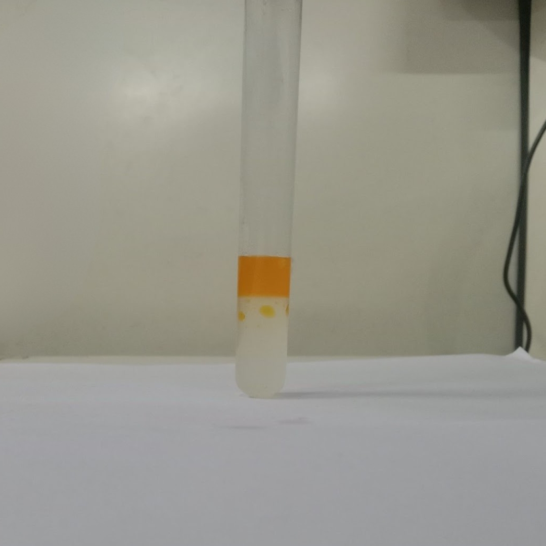 Flavonoids-testing-in-Rosehip-seed-oil