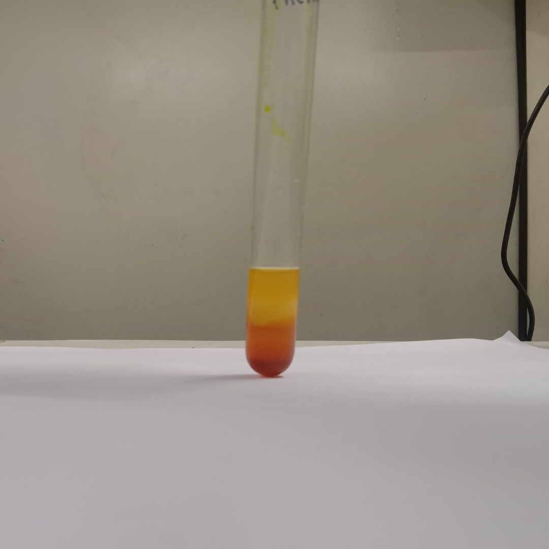 Phenols-testing-Cold-Pressed-Grapeseed-OIl