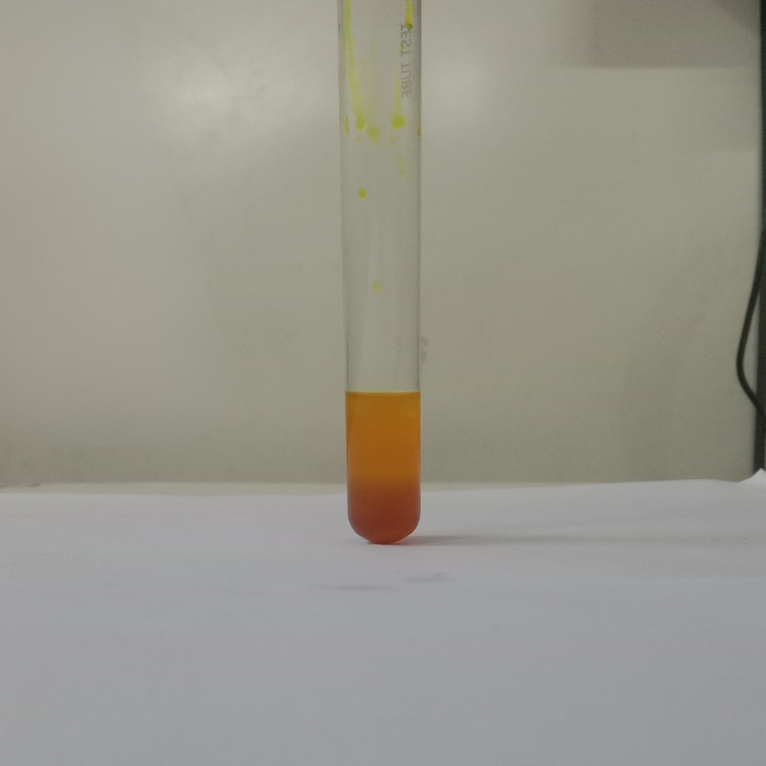 Phenols-testing-in-Rosehip-seed-oil