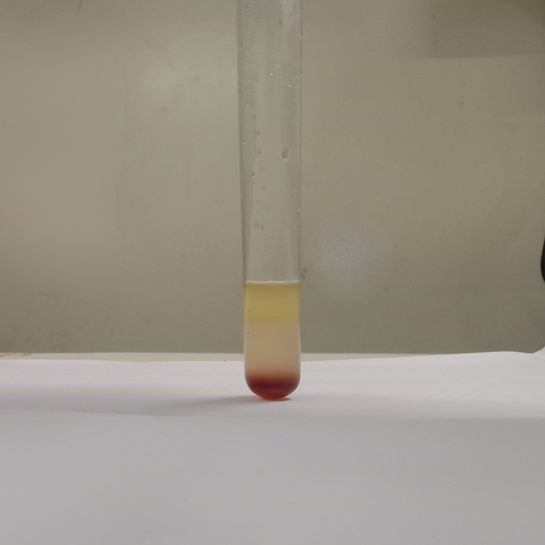 Phytosterols-testing-Cold-Pressed-Grapeseed-OIl