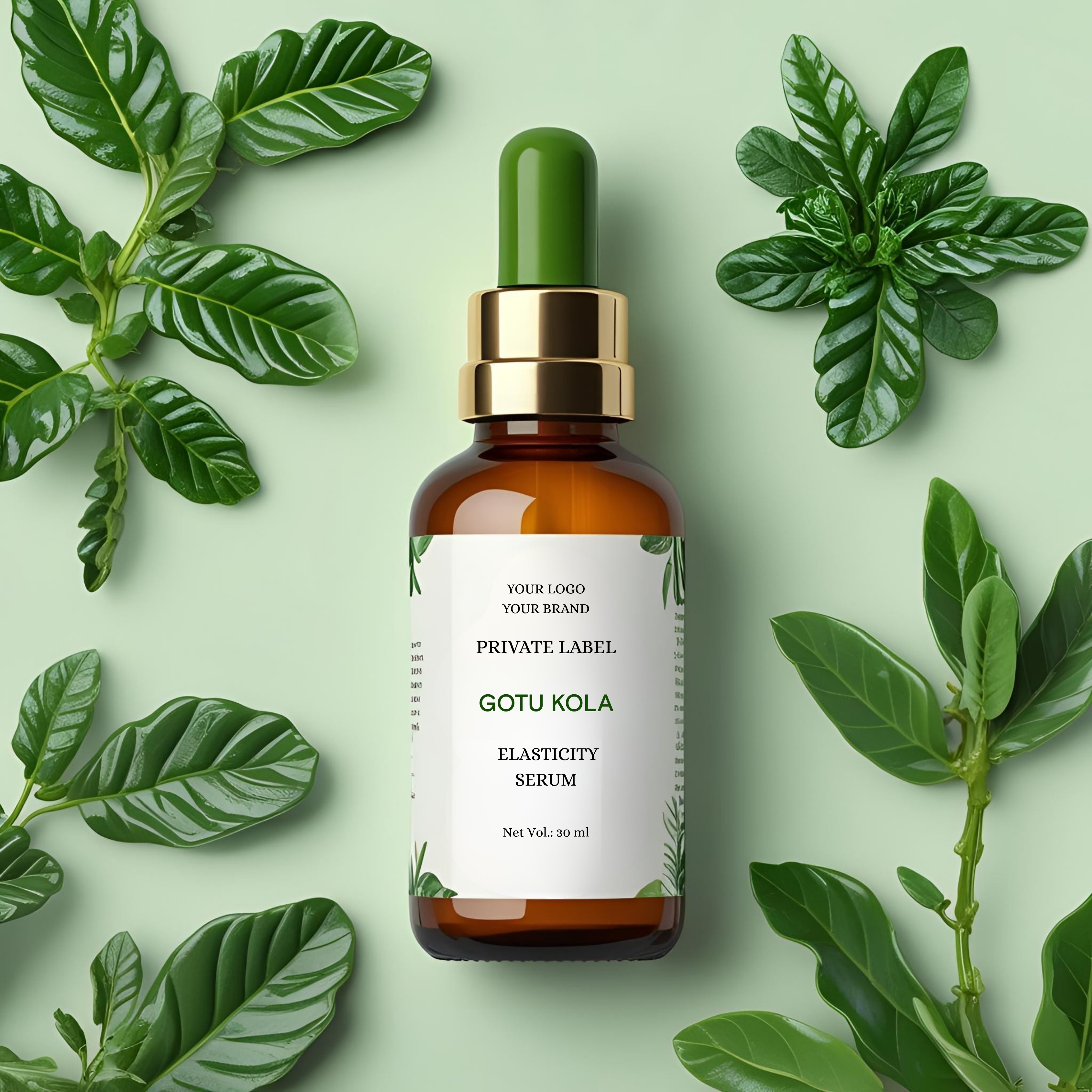 serum manufacturer,gotu kola serum manufacturer,private label gotu kola oil