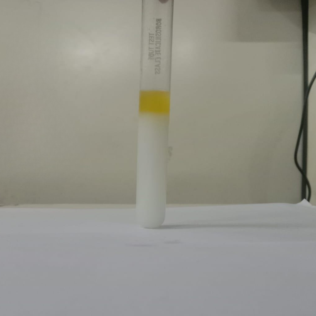 Saponion-testing-in-Flaxseed-Oil