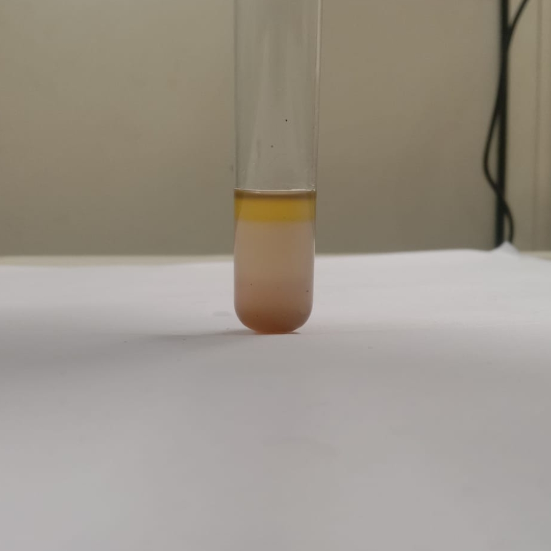 Steroid-testing-Moringa-oil