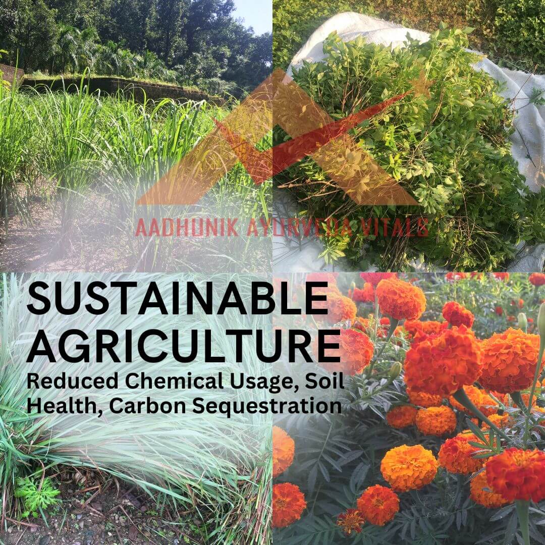 Sustainable-Agriculture