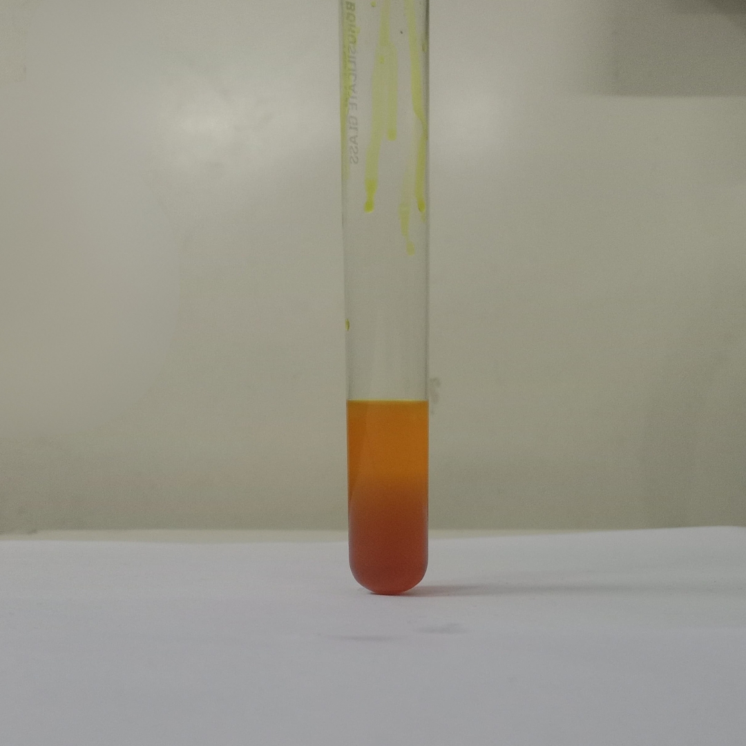 Tannin-testing-in-Rosehip-seed-oil