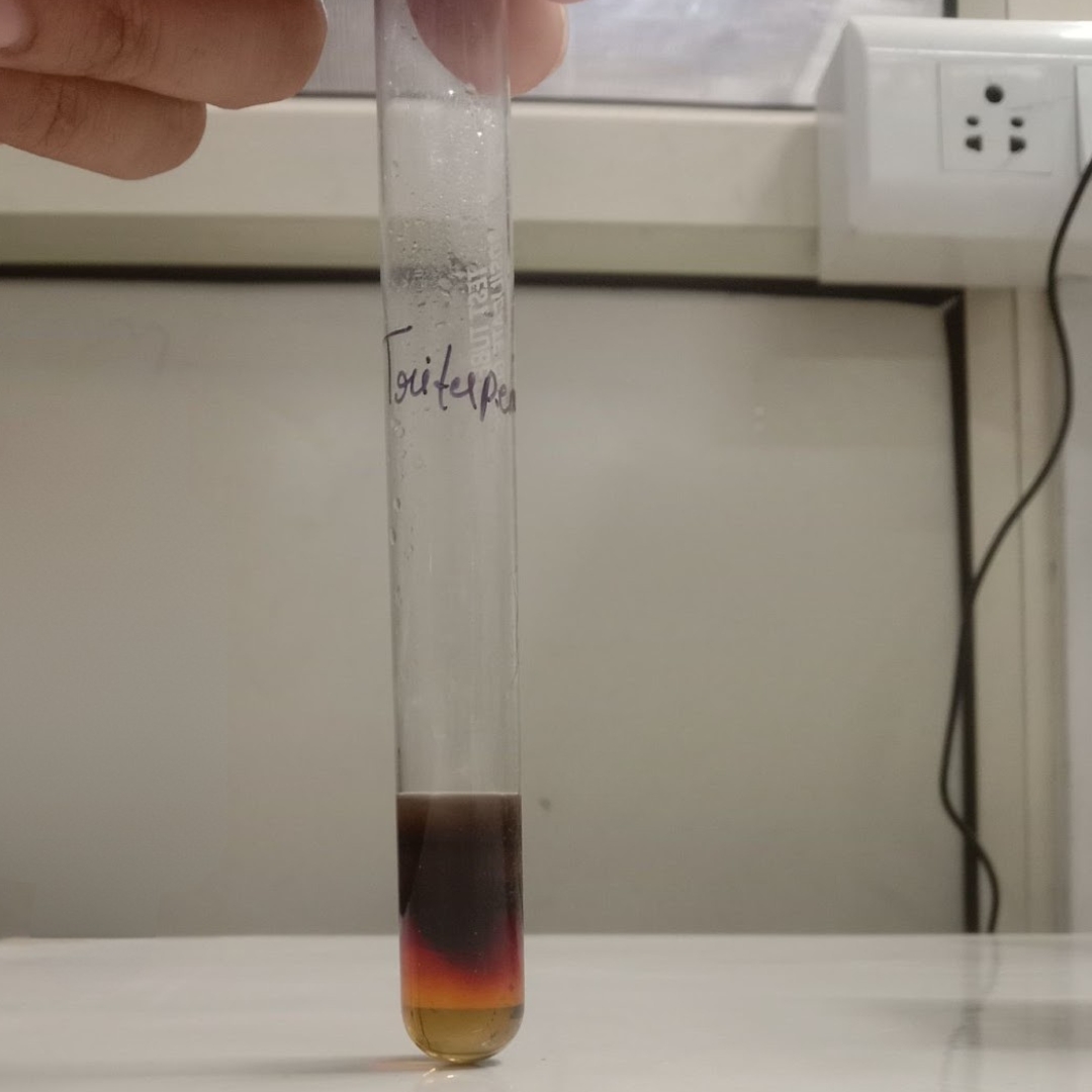 Triterpenoid-testing-for-Gotu-Kola-Seed-Oil