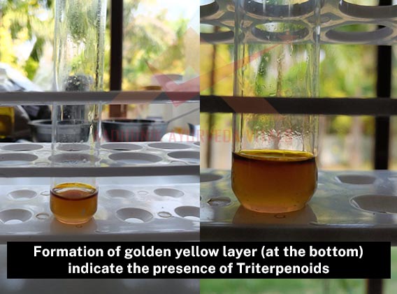Triterpenoids-testing-in-rose-water
