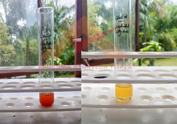 Unsaturated-Fatty-Acids-testing-in-Walnut-Seed-oil