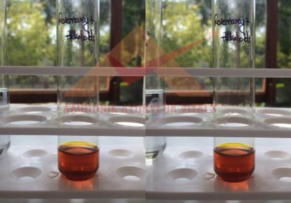 alkaloid-testing-in-rosemary-hydrosol