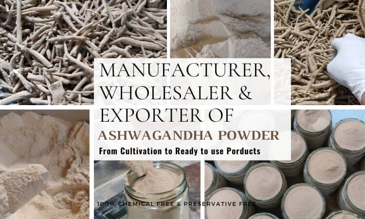 ashwagandha-powder-manufacturer-wholesaler