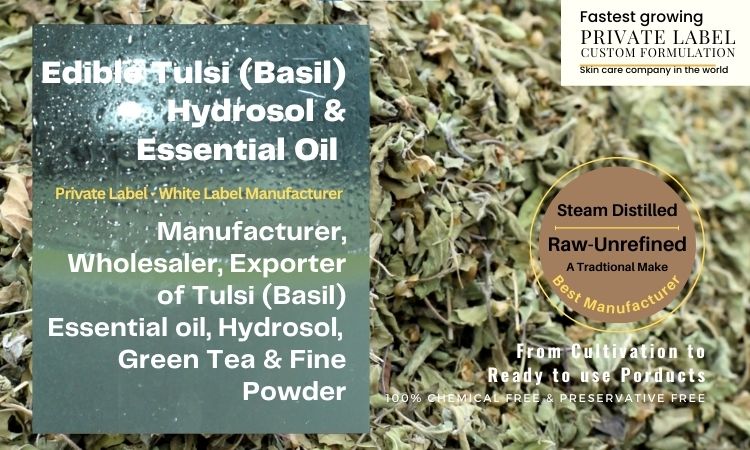 basil-essential-oil-and-hydrosol-manufacturer