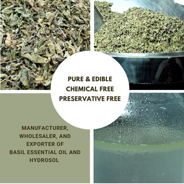 basil-essential-oils-hydrosl-makers