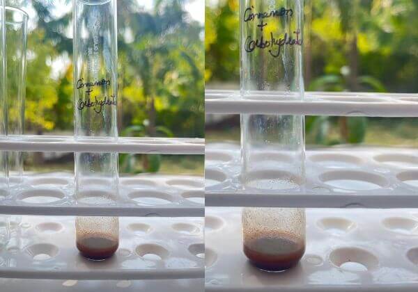 carbohydrate-testing-in-cinnamon-hydrosol