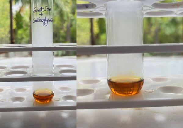 cardiac-glycoside-in-sweetlime-hydrosol