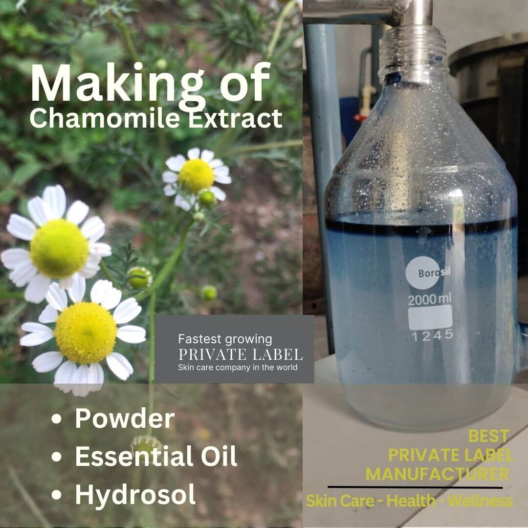 chamomile extract manufacturer