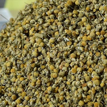 chamomile-powder-manufacturer