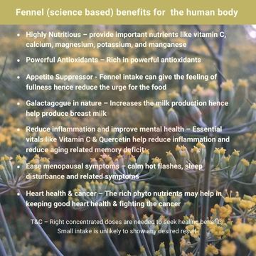 fennel-essential-oils-hydrosl-makers