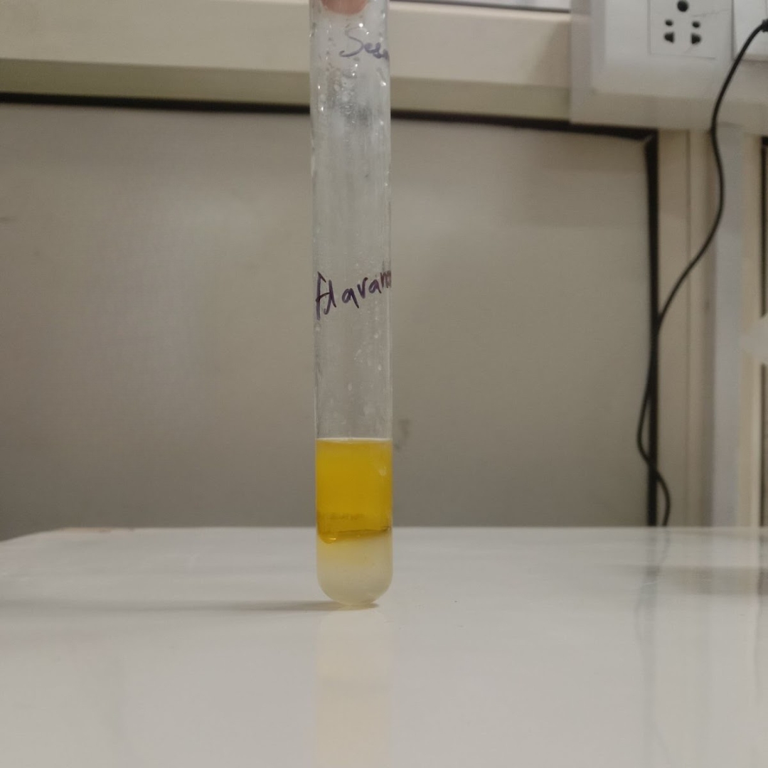 flavonoid-testing-for-Gotu-Kola-Seed-Oil
