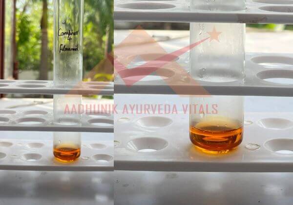 flavonoid-testing-in-camphor-leaves-hydrosol