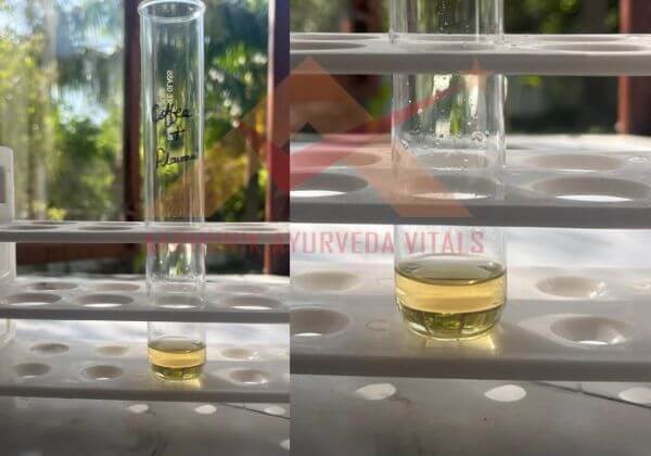 flavonoid-testing-in-coffee-hydrosol
