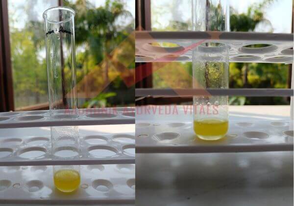 lavonoid-testing-in-jojoba-oil