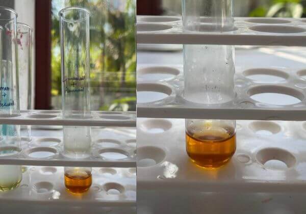 flavonoid-testing-in-spearmint-hydrosol