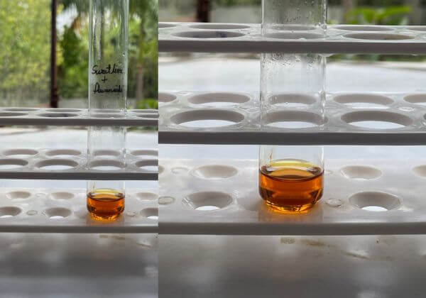 flavonoid-testing-in-sweetlime-hydrosol