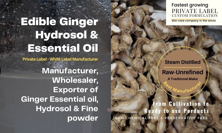 Ginger-essential-oil-and-hydrosol-manufacturer