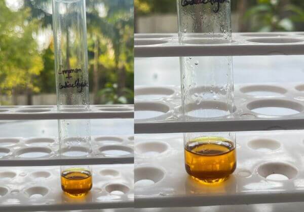 glycoside-testing-in-cinnamon-hydrosol