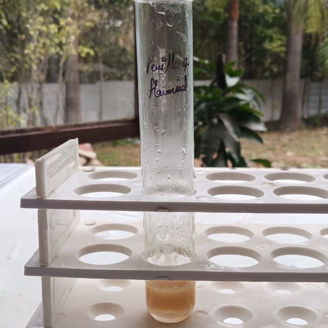 image-of-perilla-Flavonoid