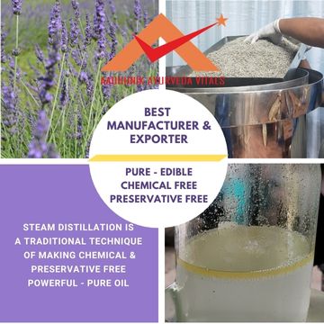 lavender-essential-oil-making