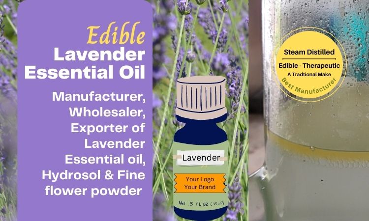 Lavender-oil-manufacturers-in-india