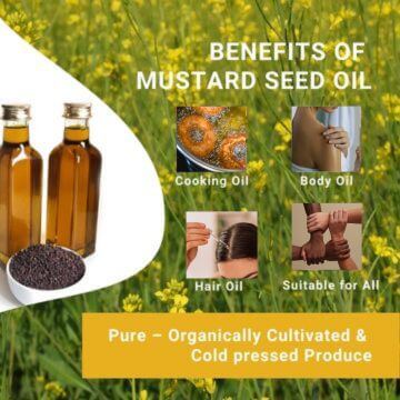 making-cold-pressed-mustard-oil