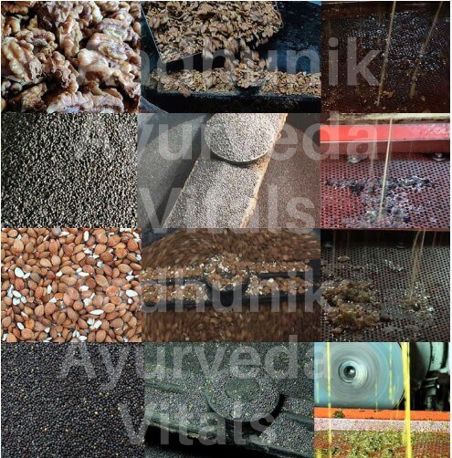 making-meal-and-meal-product-manufacturer-India