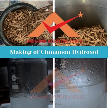 making-of-cinnamon-hydrosol