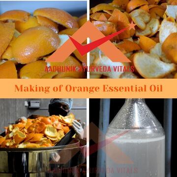 making-of-orange-essential-oil