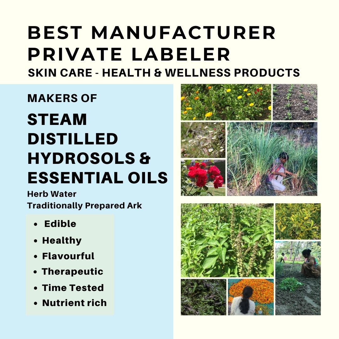 manufacturer-of-parsley-hydrosol-and-essential-oil