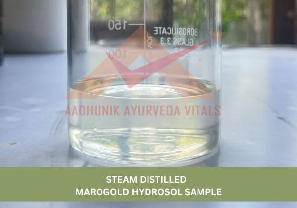 marigold-hydrosol-sample