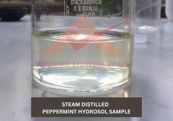 peppermint-hydrosol-sample