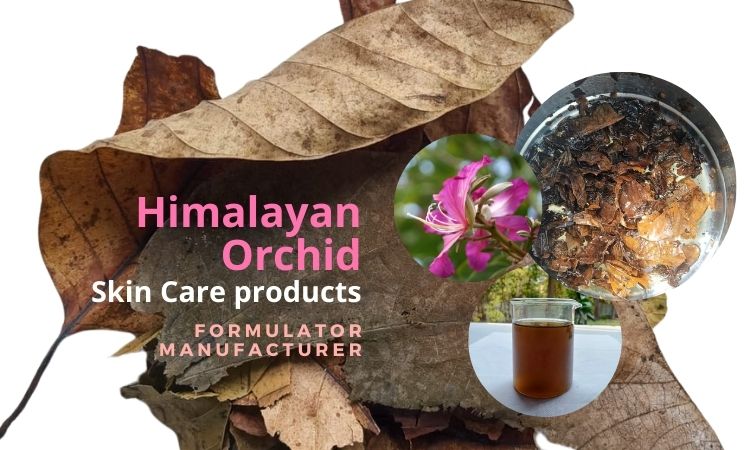 private-label-Kachnar-wellness-product-manufacturer