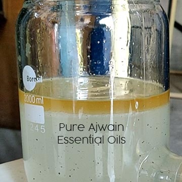 pure-ajwain-essential-oil