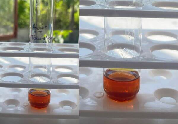 reducing-sugar-in-ajwain-hydrosol