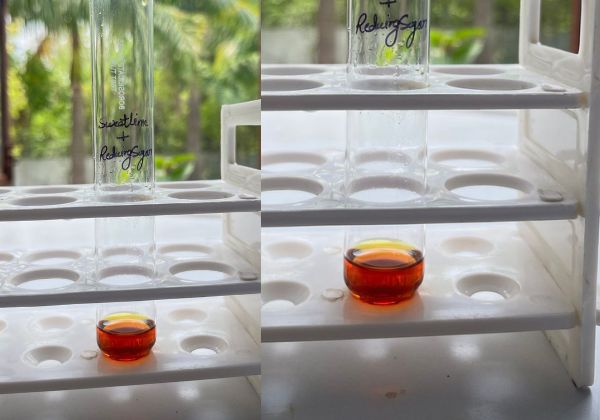 reducing-sugar-in-sweetlime-hydrosol