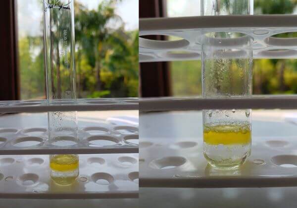 saponin-testing-in-jojoba-oil