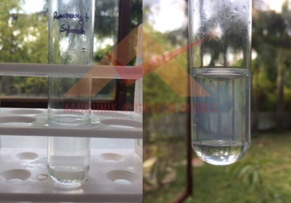 saponins-testing-in-rosemary-hydrosol
