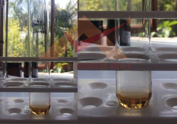steroids-testing-in-basil-hydrosol