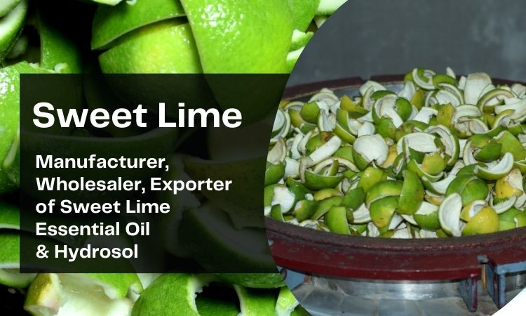 sweet-lime-essential-oil-and-hydrosol-manufacturer