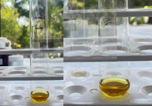 tanin-testing-in-spearmint-hydrosol